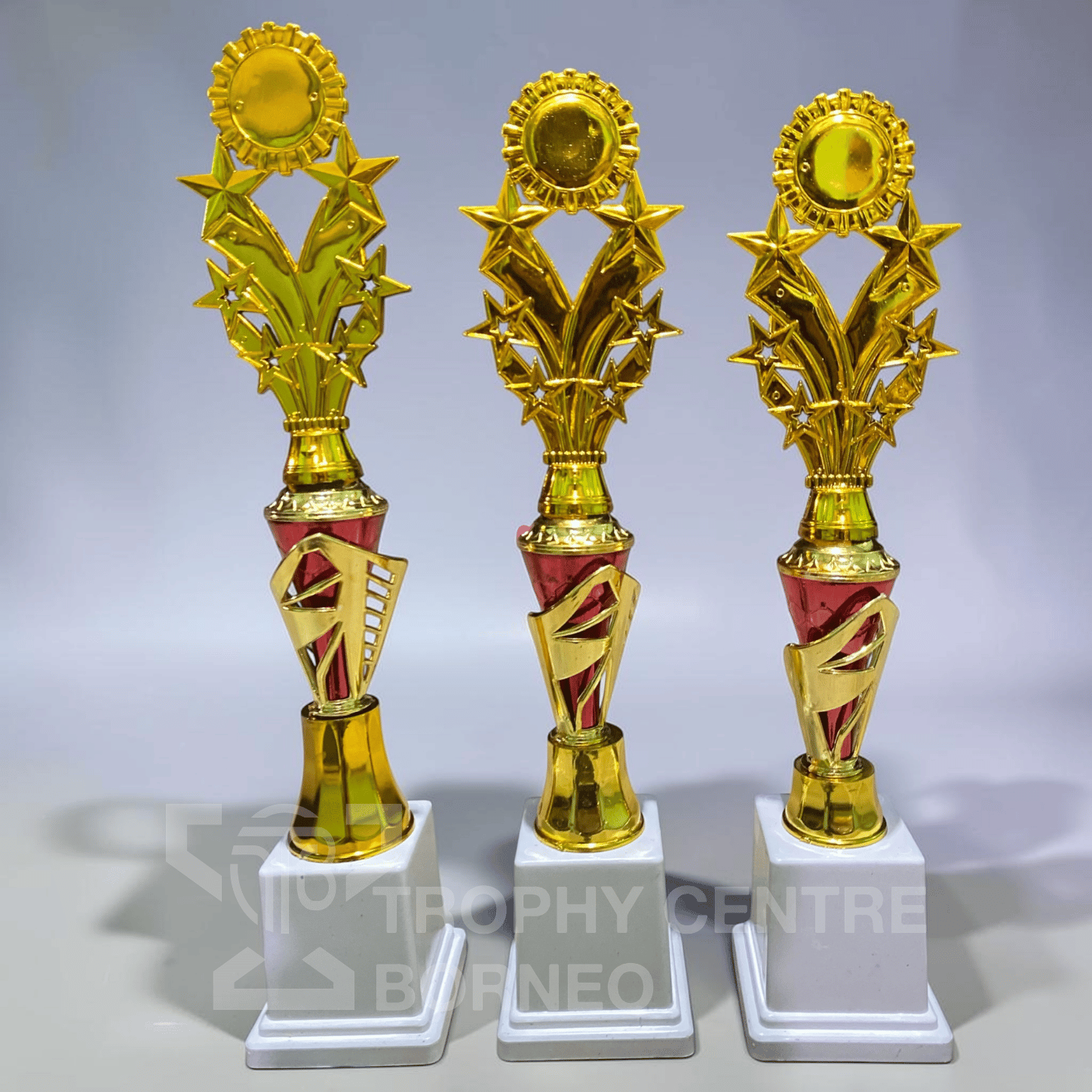 Piala TCB-84